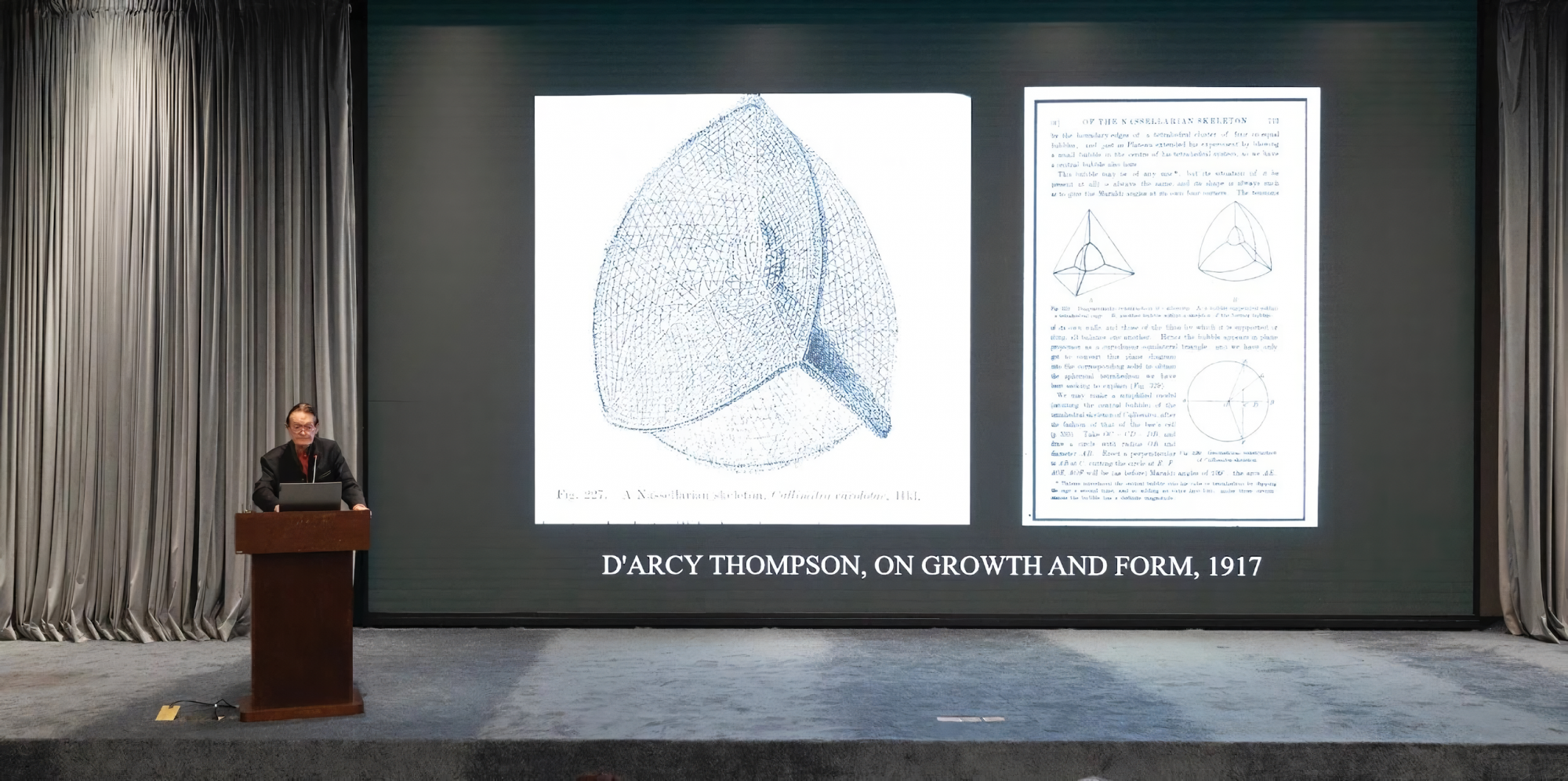 The Science of Art　Martin Kemp　芸術 科学 The Science of Art: Optical Themes in Western Art from